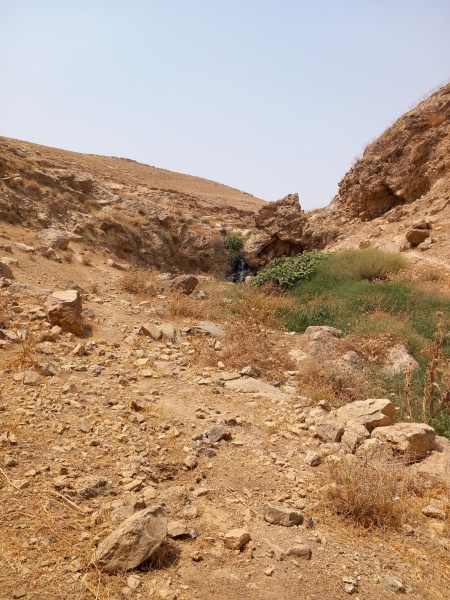 קובץ:2025-08-12T12 18 57.624759528461.jpg