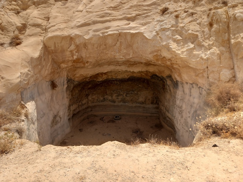 קובץ:2025-08-12T12 27 39.745533477721.jpg