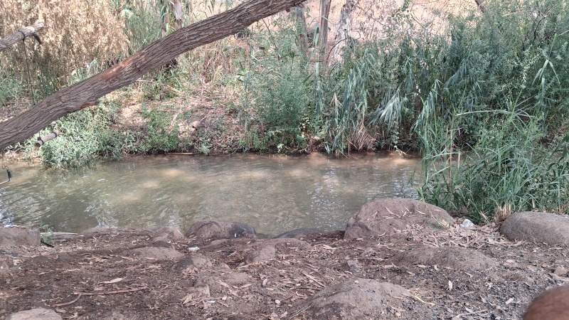 קובץ:2025-08-12T13 18 48.008926771814.jpg