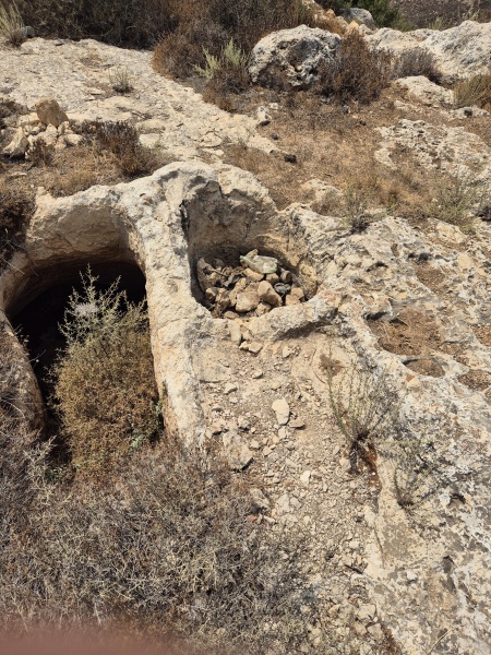 קובץ:2025-08-12T14 20 08.365047975231.jpg