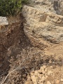 תמונה ממוזערת לגרסה מתאריך 11:57, 19 באוגוסט 2025