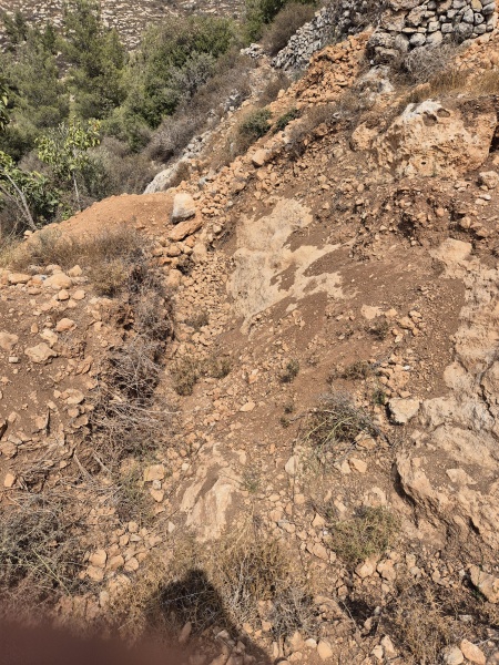 קובץ:2025-08-12T14 26 40.526175781119.jpg