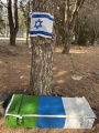 תמונה ממוזערת לגרסה מתאריך 12:25, 12 באוגוסט 2025