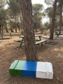 תמונה ממוזערת לגרסה מתאריך 13:02, 12 באוגוסט 2025
