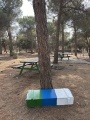 תמונה ממוזערת לגרסה מתאריך 13:02, 12 באוגוסט 2025