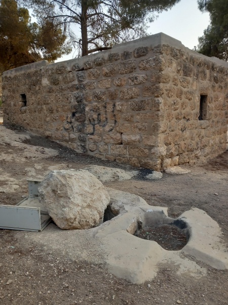קובץ:2025-08-13T06 48 52.534435999164.jpg