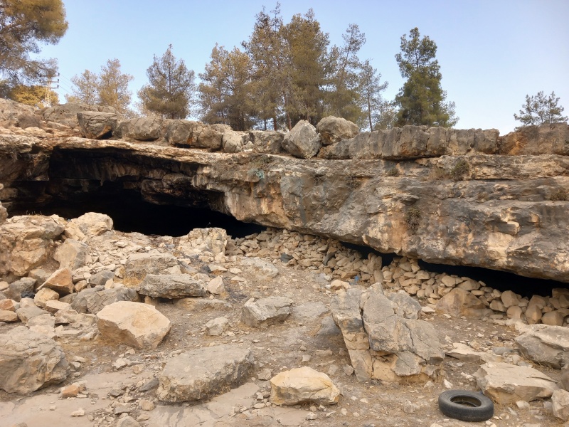 קובץ:2025-08-13T07 11 20.361632804755.jpg