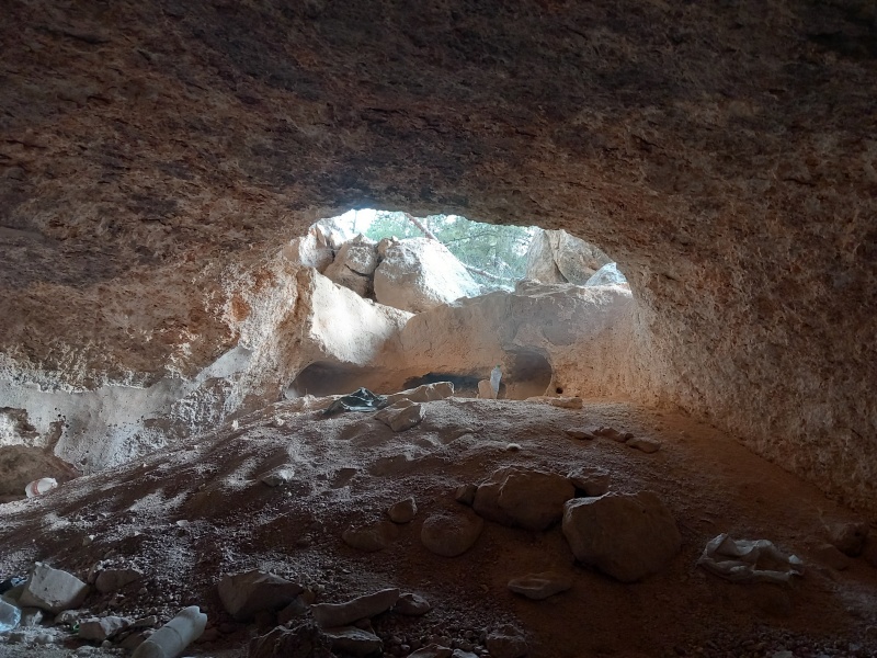 קובץ:2025-08-13T07 16 06.865536670502.jpg
