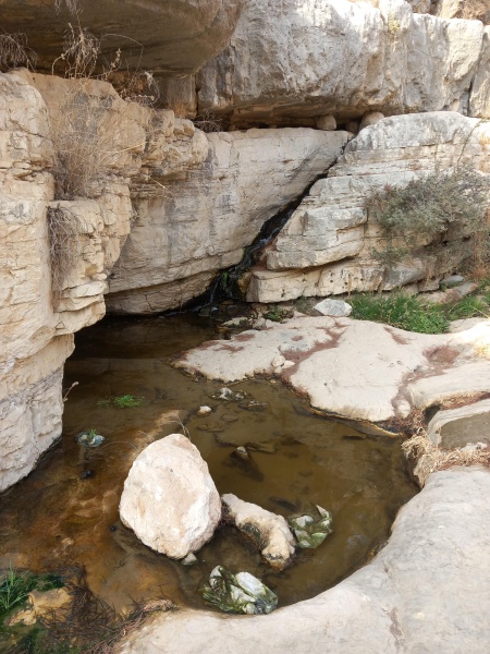 קובץ:2025-08-13T07 33 38.399048626507.jpg