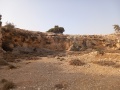 תמונה ממוזערת לגרסה מתאריך 04:51, 13 באוגוסט 2025