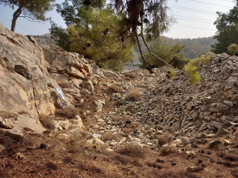 קובץ:2025-08-13T08 17 33.956331336198.jpg