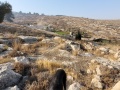 תמונה ממוזערת לגרסה מתאריך 13:15, 20 באוגוסט 2025