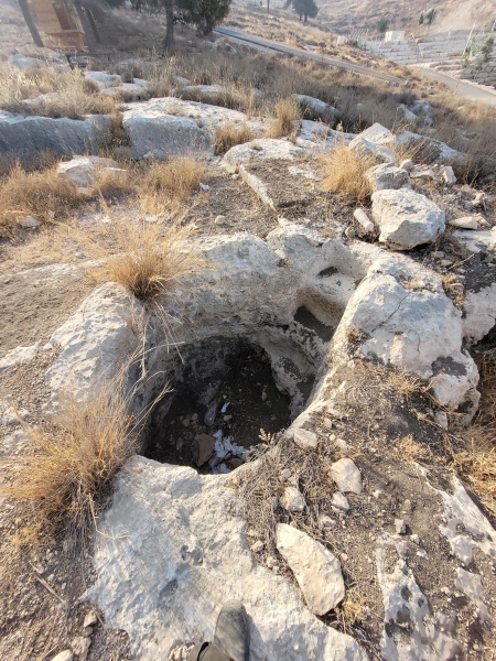 קובץ:2025-08-14T08 08 09.672209202213.jpg