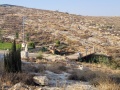 תמונה ממוזערת לגרסה מתאריך 13:15, 20 באוגוסט 2025