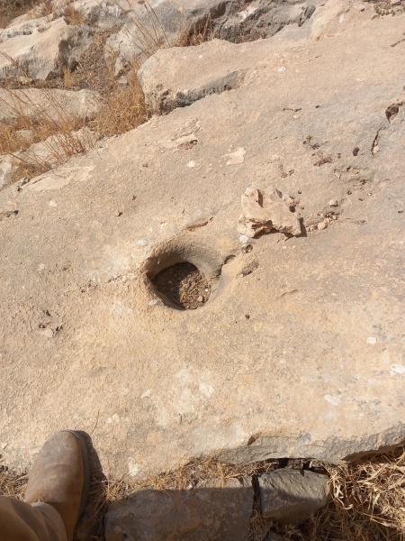 קובץ:2025-08-14T10 06 01.969494149965.jpg