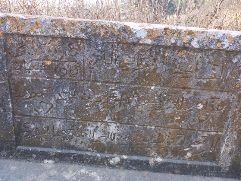 קובץ:2025-08-14T16 14 51.137548556763.jpg