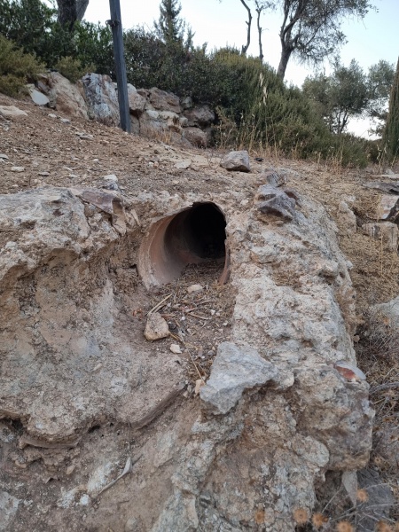 קובץ:2025-08-14T19 01 03.307645104.jpg