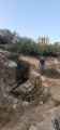 תמונה ממוזערת לגרסה מתאריך 11:17, 15 באוגוסט 2025