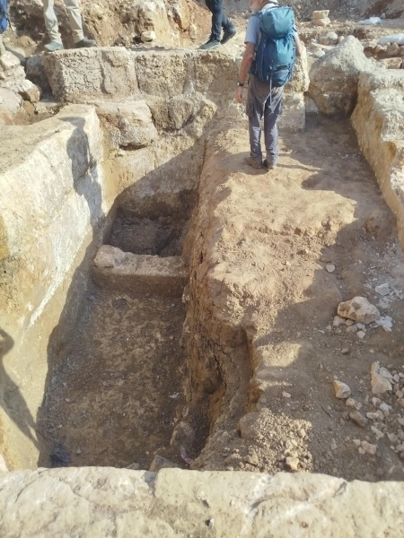 קובץ:2025-08-15T08 22 46.480878438774.jpg