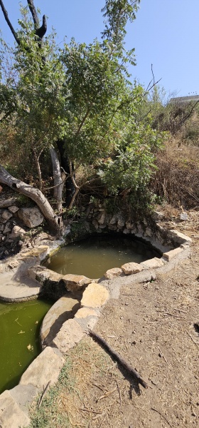 קובץ:2025-08-15T15 52 46.819836103684.jpg
