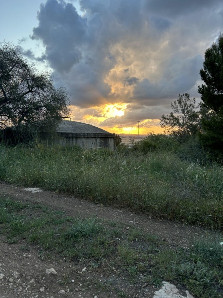 קובץ:2025-08-16T00 46 45.130064487403.jpg