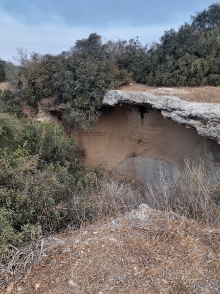 קובץ:2025-08-16T06 50 29.718468188979.jpg