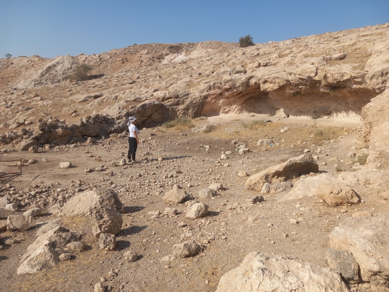 קובץ:2025-08-16T08 50 11.641355254756.jpg