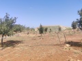 תמונה ממוזערת לגרסה מתאריך 07:18, 16 באוגוסט 2025