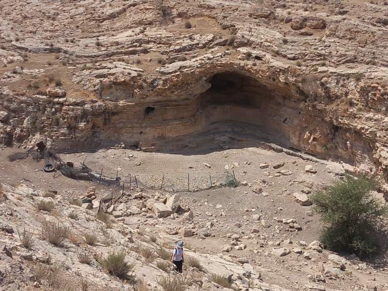קובץ:2025-08-16T11 48 05.887118479205.jpg