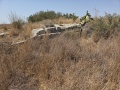 תמונה ממוזערת לגרסה מתאריך 11:59, 16 באוגוסט 2025