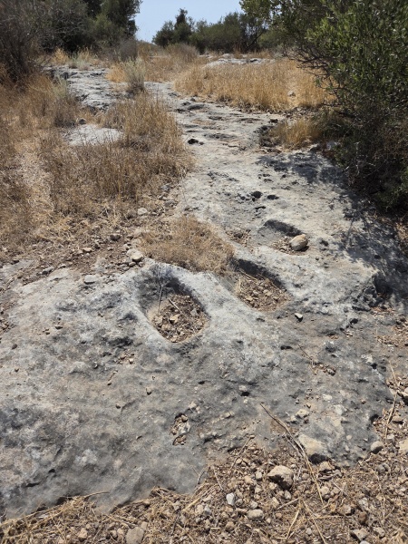 קובץ:2025-08-16T14 56 18.485427645098.jpg