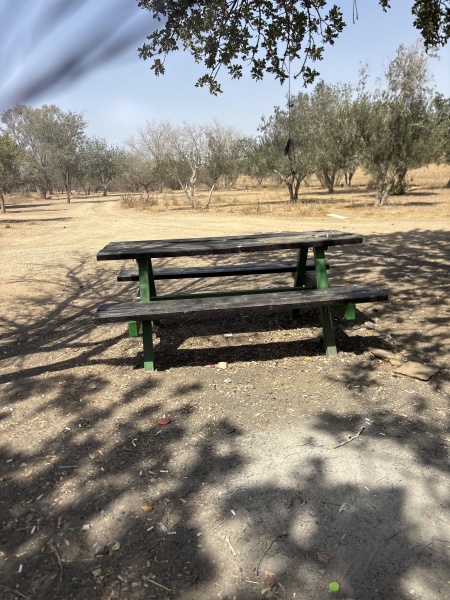 קובץ:2025-08-16T14 56 50.179368566915.jpg