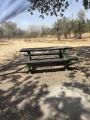 תמונה ממוזערת לגרסה מתאריך 11:29, 16 באוגוסט 2025
