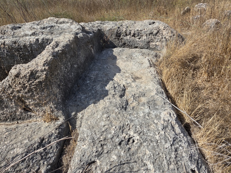 קובץ:2025-08-16T15 55 54.237864966501.jpg