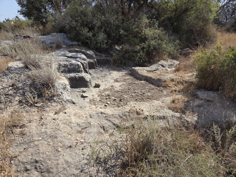 קובץ:2025-08-16T16 15 41.189197264665.jpg