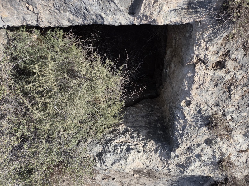 קובץ:2025-08-16T16 34 55.150893617977.jpg