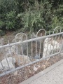תמונה ממוזערת לגרסה מתאריך 05:29, 17 באוגוסט 2025