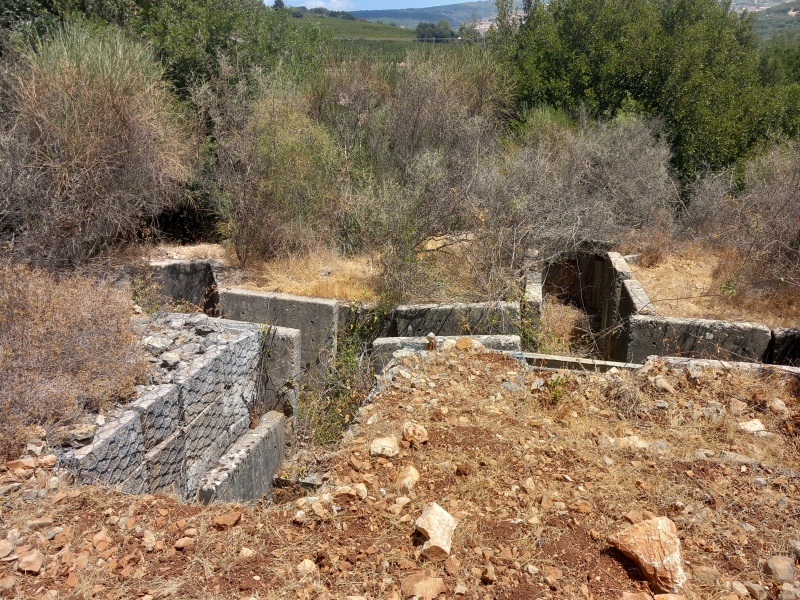 קובץ:2025-08-17T12 26 32.991574126257.jpg