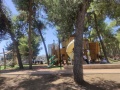 תמונה ממוזערת לגרסה מתאריך 09:44, 17 באוגוסט 2025