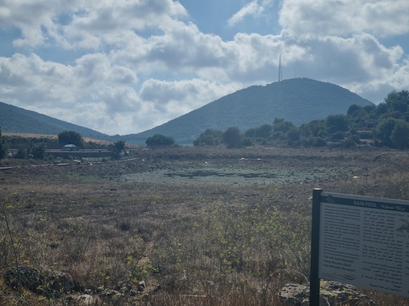 קובץ:2025-08-17T16 38 48.254042400260.jpg