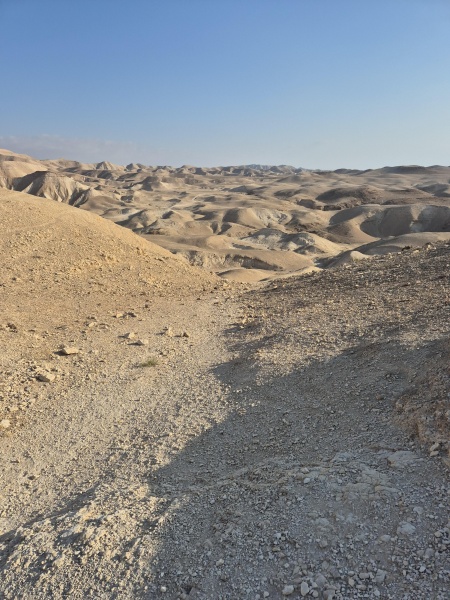 קובץ:2025-08-18T07 30 44.024369977917.jpg