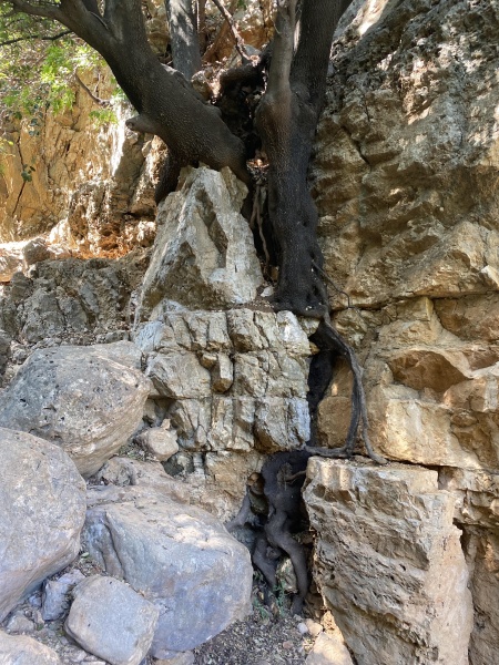 קובץ:2025-08-18T10 05 06.310558814531.jpg