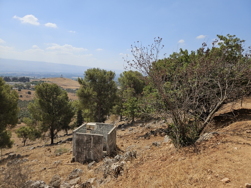 קובץ:2025-08-18T10 13 00.404462179797.jpg