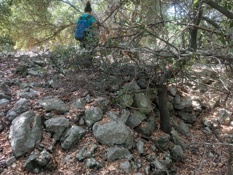 קובץ:2025-08-18T10 36 38.655600404429.jpg