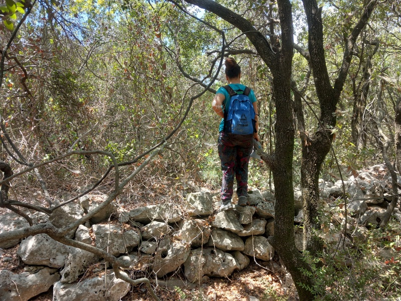 קובץ:2025-08-18T12 21 45.174868282894.jpg