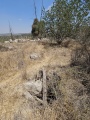 תמונה ממוזערת לגרסה מתאריך 09:45, 18 באוגוסט 2025