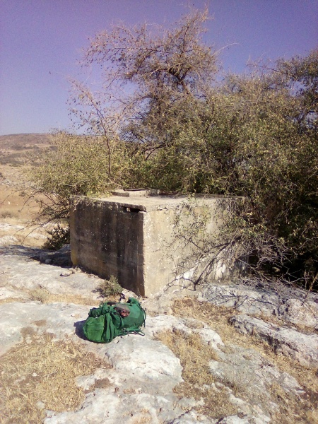קובץ:2025-08-18T16 12 01.12733134176.jpg