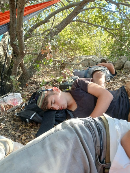 קובץ:2025-08-18T16 41 57.059238623721.jpg