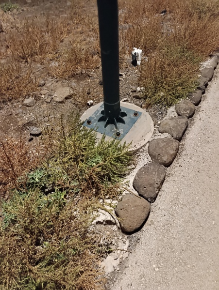 קובץ:2025-08-18T23 53 16.471982340826.jpg