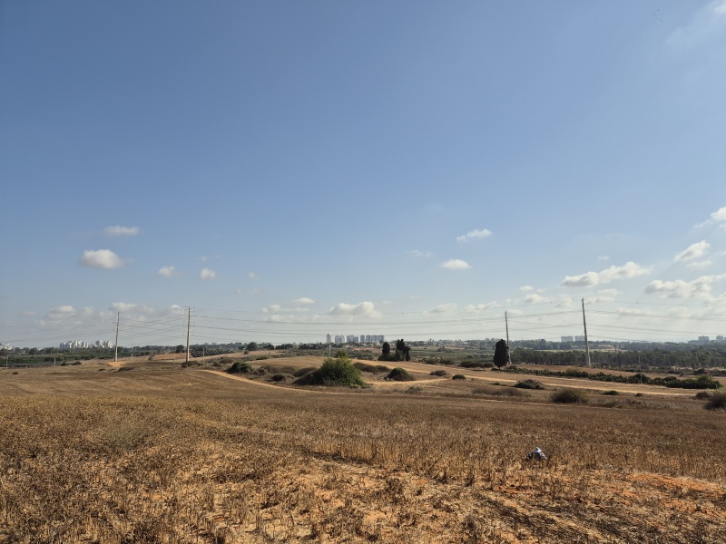 קובץ:2025-08-19T08 59 25.609619324495.jpg
